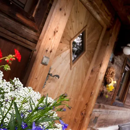 Alpen-chalet-pankraz