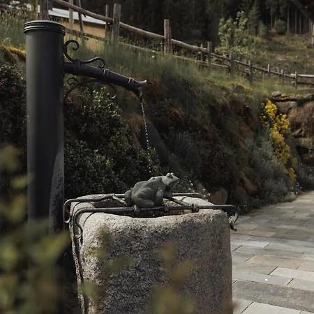 Dağ evi Alpen-chalet-pankraz *